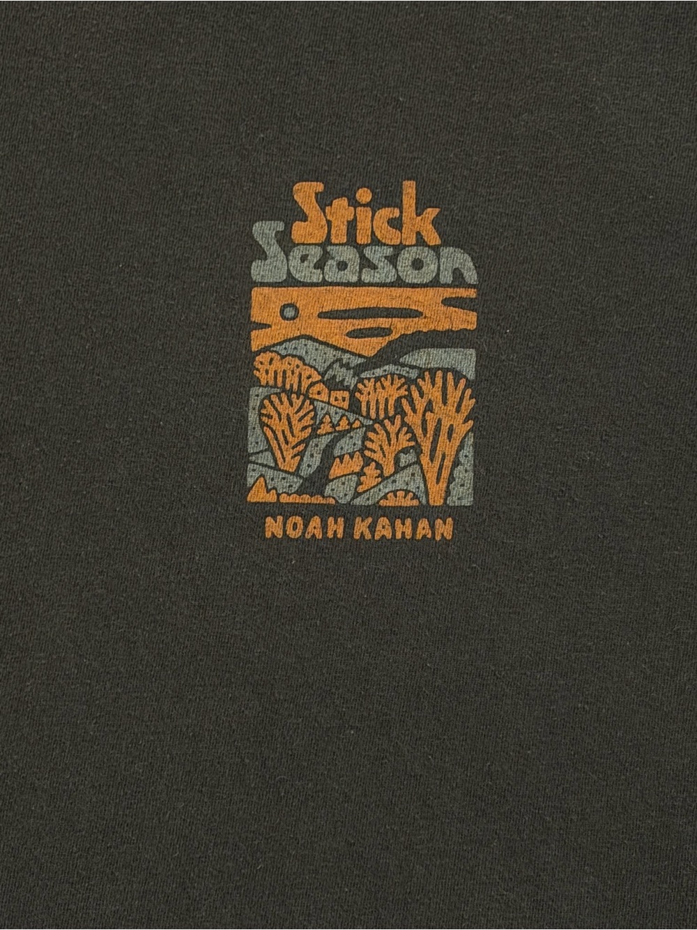 Noah Kahan Stick Season We’ll All Be Here Forever Shirt Comfort Colors M - Picture 3 of 5